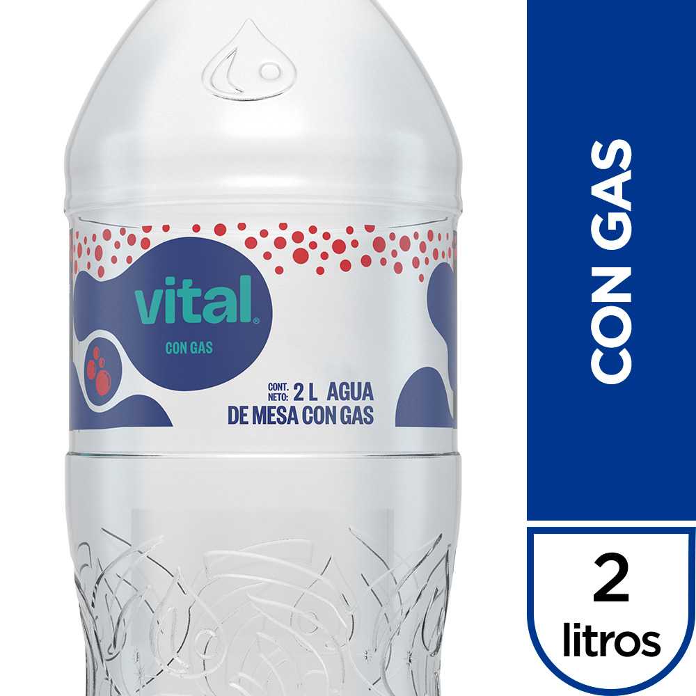 Vital con gas 2 lt