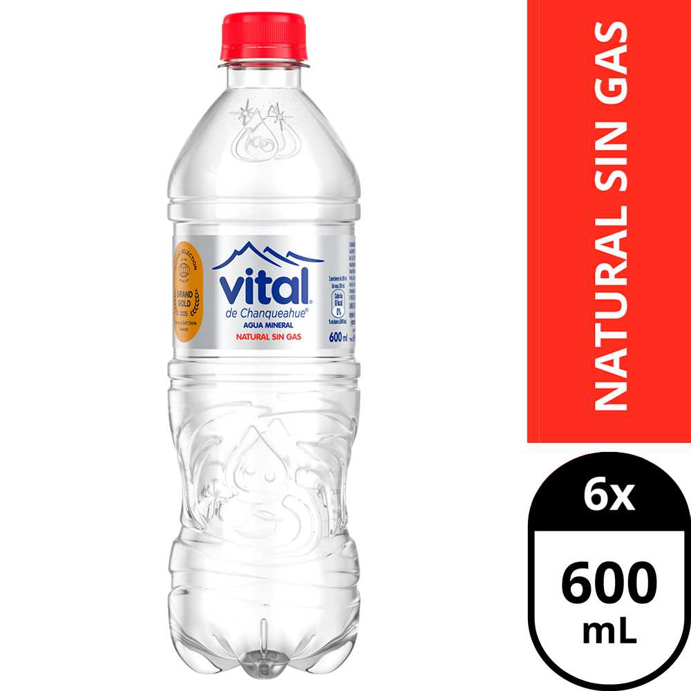 Vital sin gas 6 x 600 ml